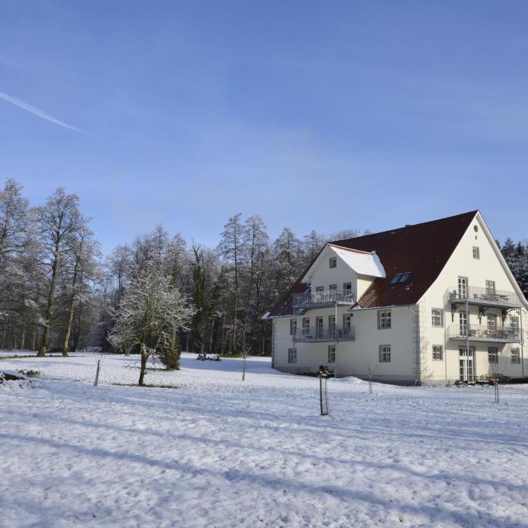 Goldschmiedsmühle - Deluxe Apartment - 39