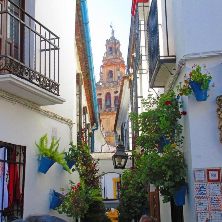 Apartamento Córdoba con encanto LUBI II - Apartment - 21