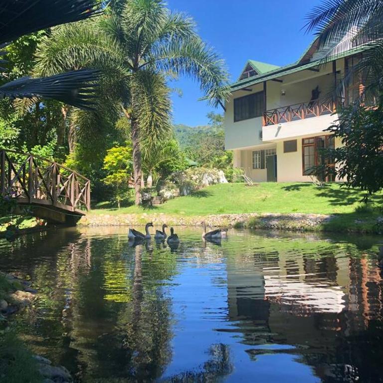 Malía Casa Campo - Casa - 8