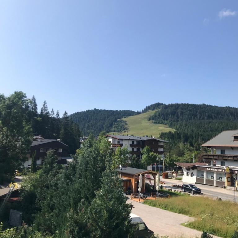 Haus Hoher Sattel - Apartment - unter dem Dach - 17