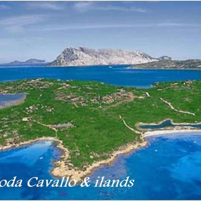 Le Ville Stefania Calaparadiso 150m dal mare - Casa con 3 Camere da Letto - 45