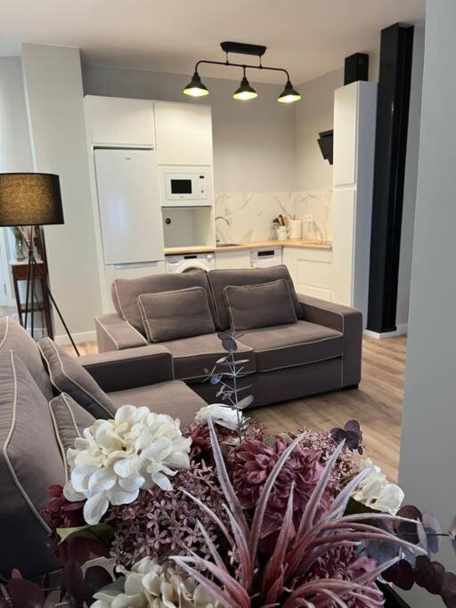 Precioso y céntrico apartamento - Two-Bedroom Apartment - 1