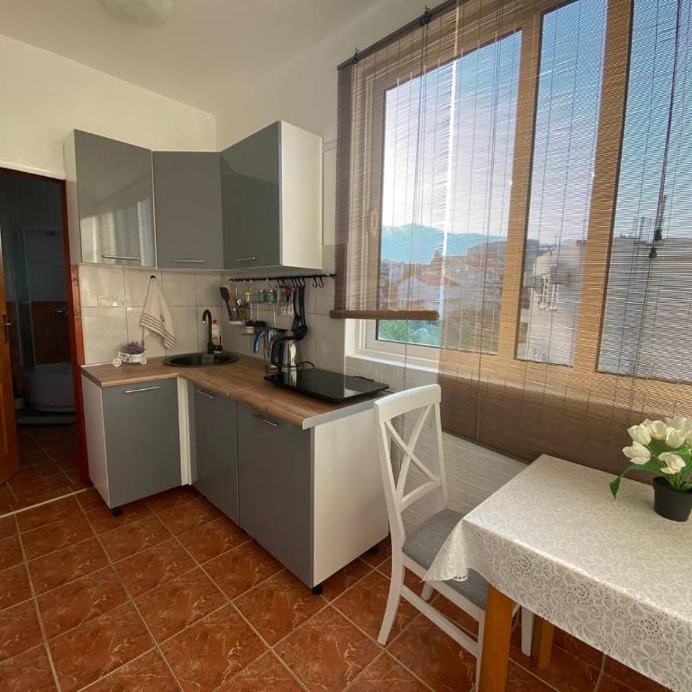 Alina's apartment - Studio with Mountain View - 6