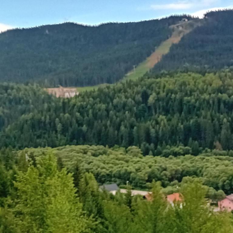 Apartmani Kamini RAVNA PLANINA - Family Studio - 10