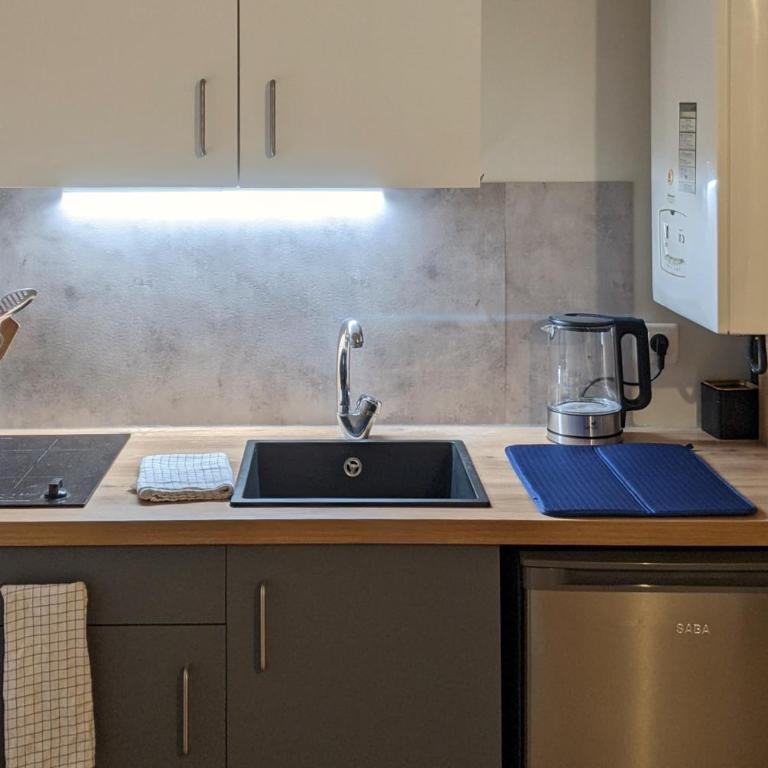 Logement charmant Charpennes - Apartment mit 1 Schlafzimmer - 2