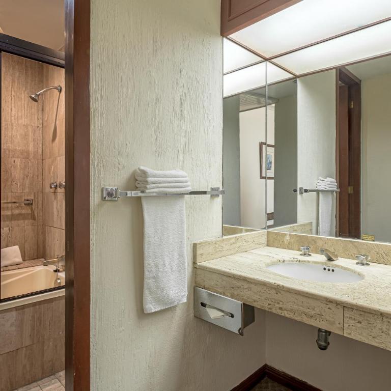Hotel Imperial Reforma - Standard King Room - 5