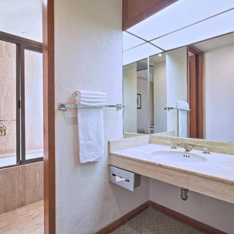 Hotel Imperial Reforma - Standard Double Room with Two Double Beds - 3