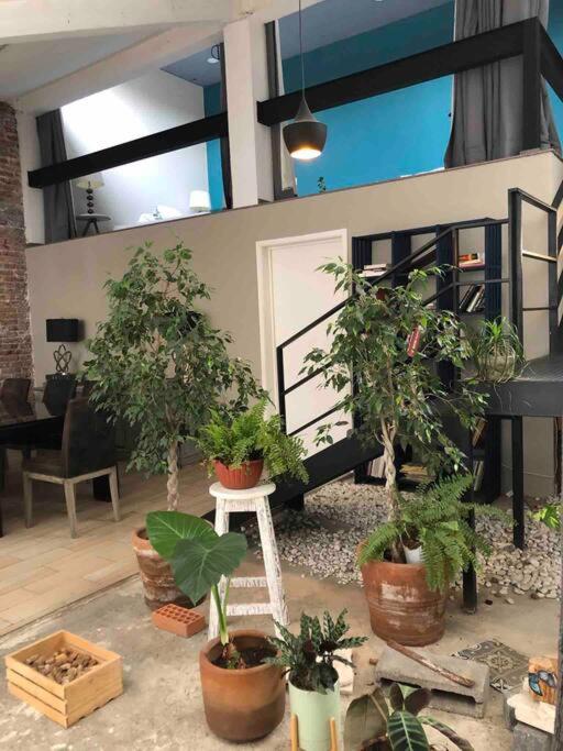 Loft Condesa - Apartamento de 3 dormitorios - 13