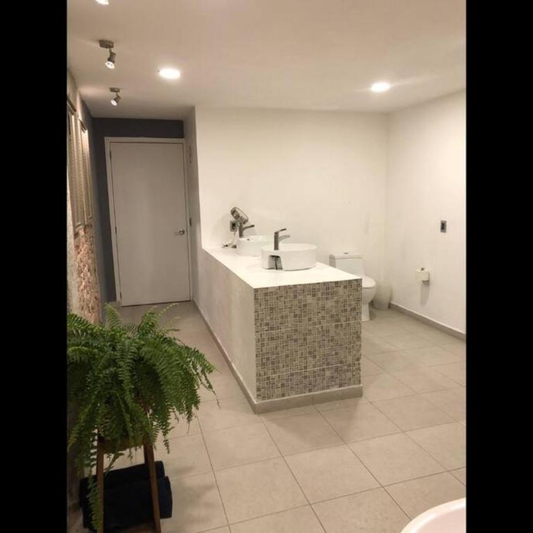 Loft Condesa - Apartamento de 3 dormitorios - 35