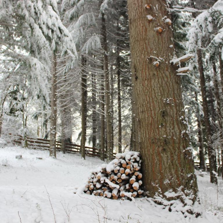 Cabaña Llavu Lemu - Chalet - 13