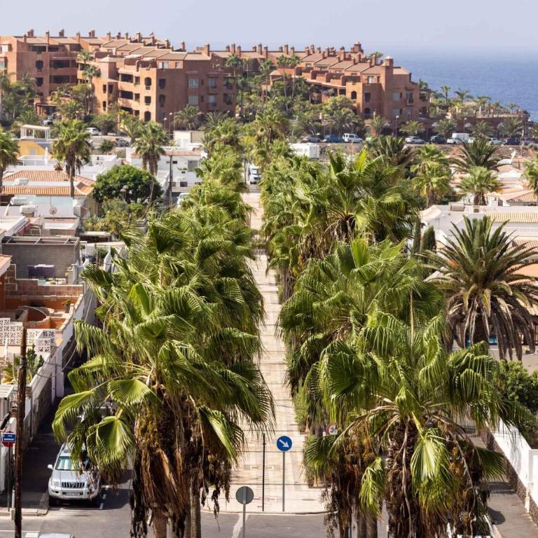 Apartment in Palm Mar - Insel Teneriffa 44996 - Apartamento - 28