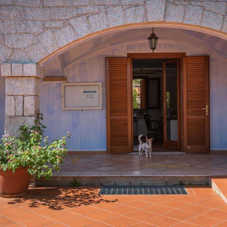 Outstanding Residenze Gallura 2 Bedroom sleeps with Child - Apartment - 16