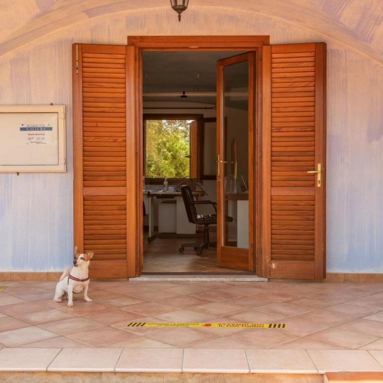 Outstanding Residenze Gallura 2 Bedroom sleeps plus Child - Appartamento - 15