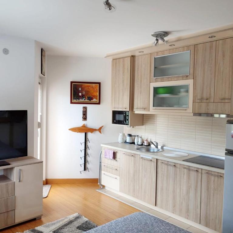 Apartman Lux Sneznik - Apartman sa 1 Spavaćom Sobom - 2
