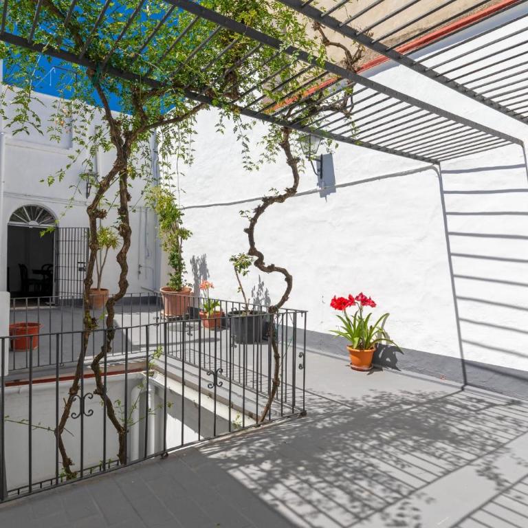 PALACIO DON CARLOS - Apartamento Superior - 24
