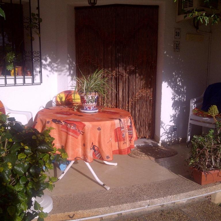Apartamento Oasis Park - Apartamento - 18