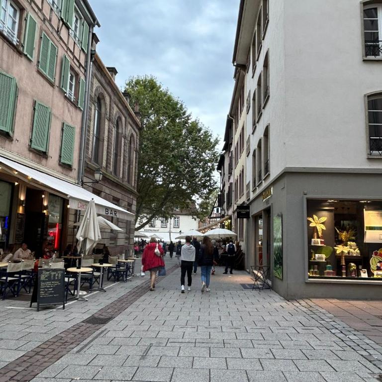 Petite France Apartment Strasbourg - One-Bedroom Apartment - 8