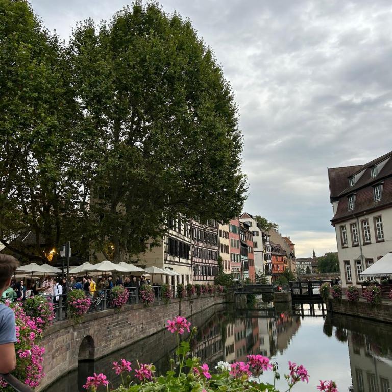 Petite France Apartment Strasbourg - One-Bedroom Apartment - 7