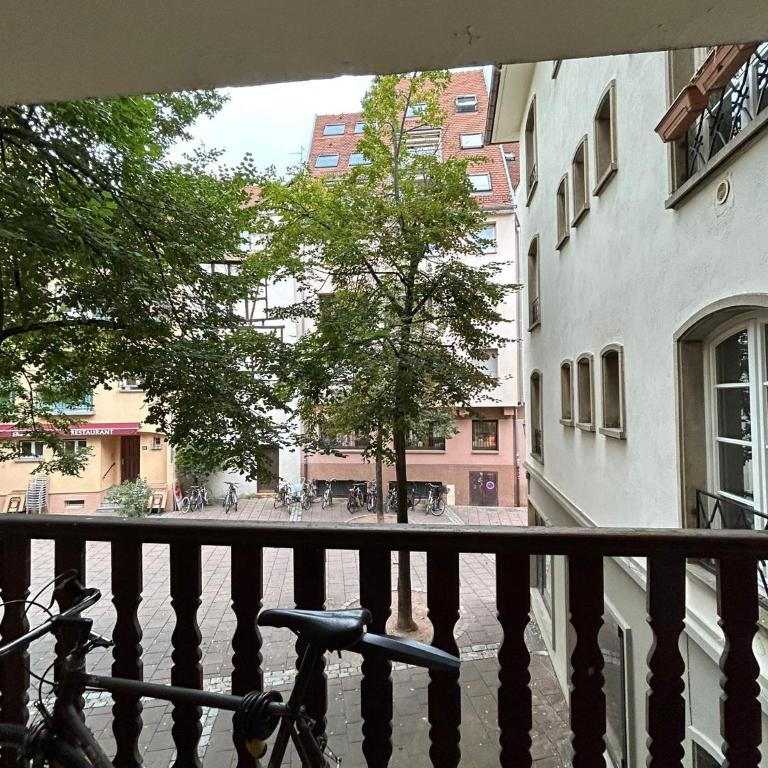 Petite France Apartment Strasbourg - One-Bedroom Apartment - 14