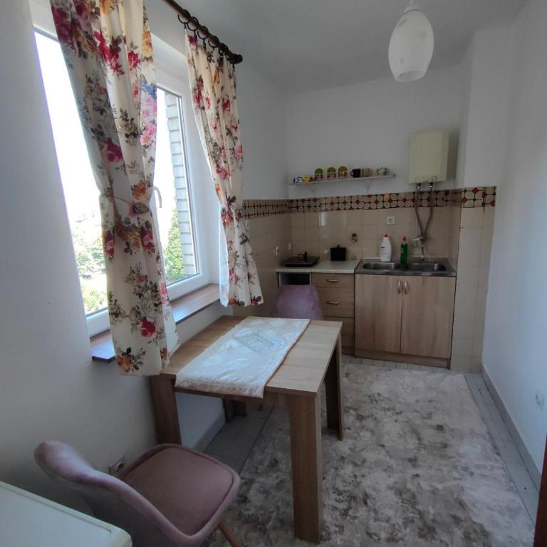 Lepa Kata Centar - Apartman sa 1 Spavaćom Sobom - 5