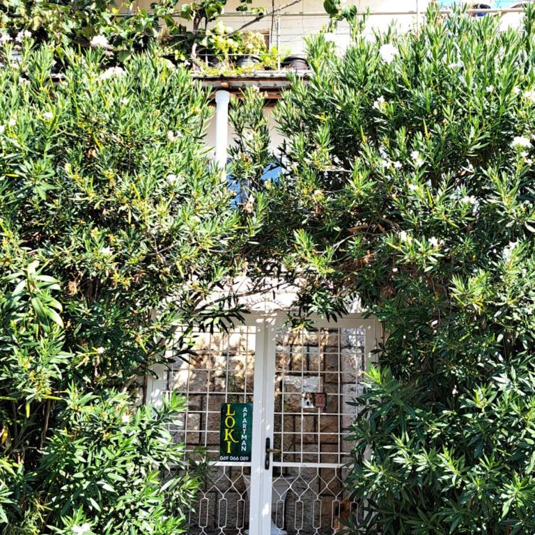 Apartman LOKI - Apartman sa Dve Spavaće Sobe i Sopstvenim Bazenom - 22