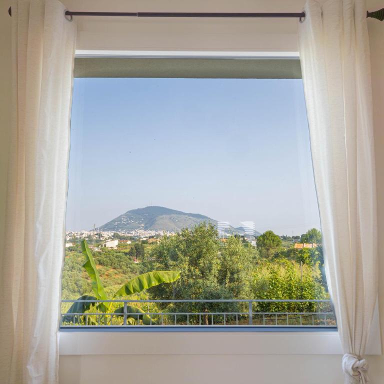Villa Arianna, il piacere di vivere nella natura. - Villa mit Gartenblick - 11