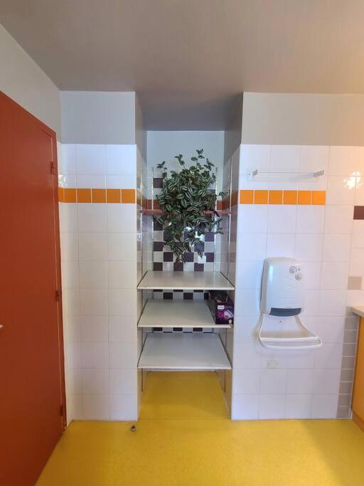 Les Bambous - Rez de jardin Millau Centre - Parking privatif, wifi - Appartement 1 Chambre - 13