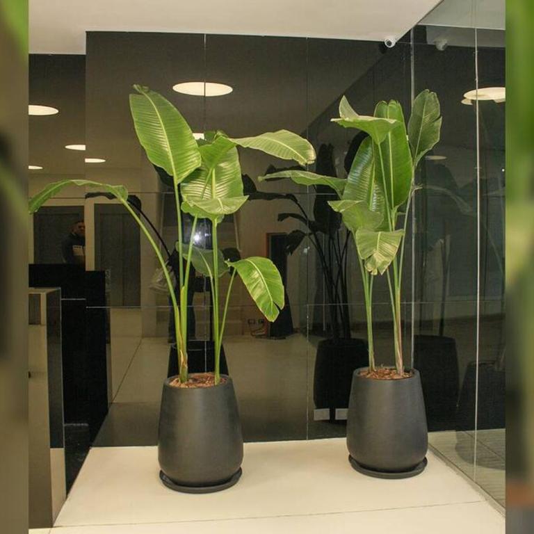 BOLI0602 Encantador Studio en zona turística ¡San Telmo! - Apartamento de 1 dormitorio - 28