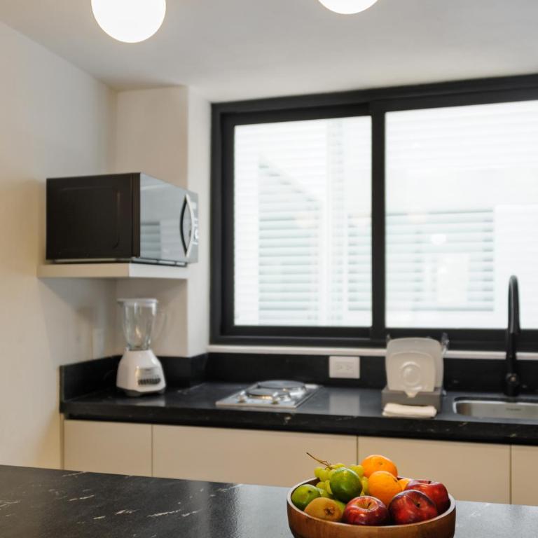 Choapan 28 - Lux Apartments in Condesa - Suite with Balcony - 3