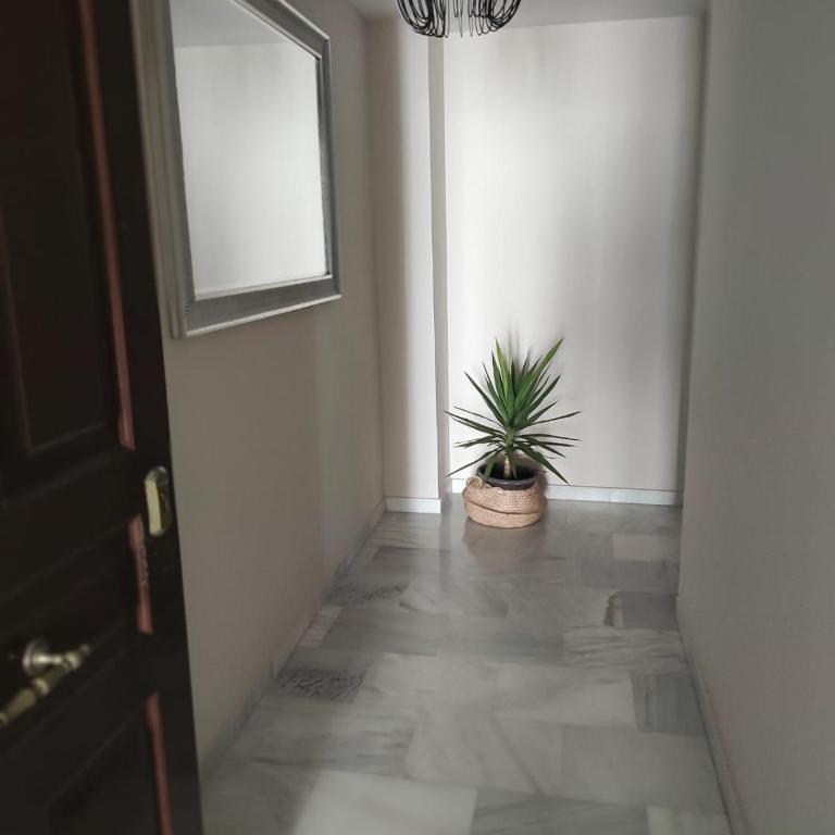 Idalia 19 Atico - Apartamento de 2 dormitorios - 13