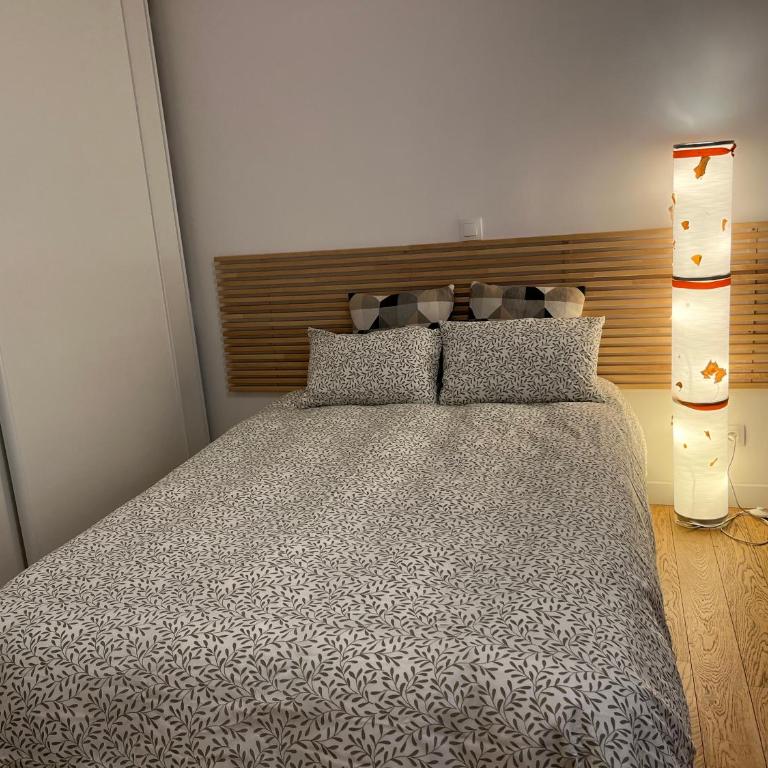 The 6th district Paris Historical apartment near Montparnasse - Appartement 1 Chambre - 3