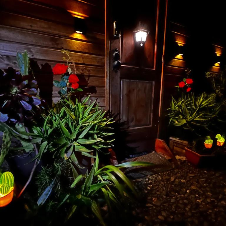 Private House at Seaside Town - Casa de 3 dormitorios - 32