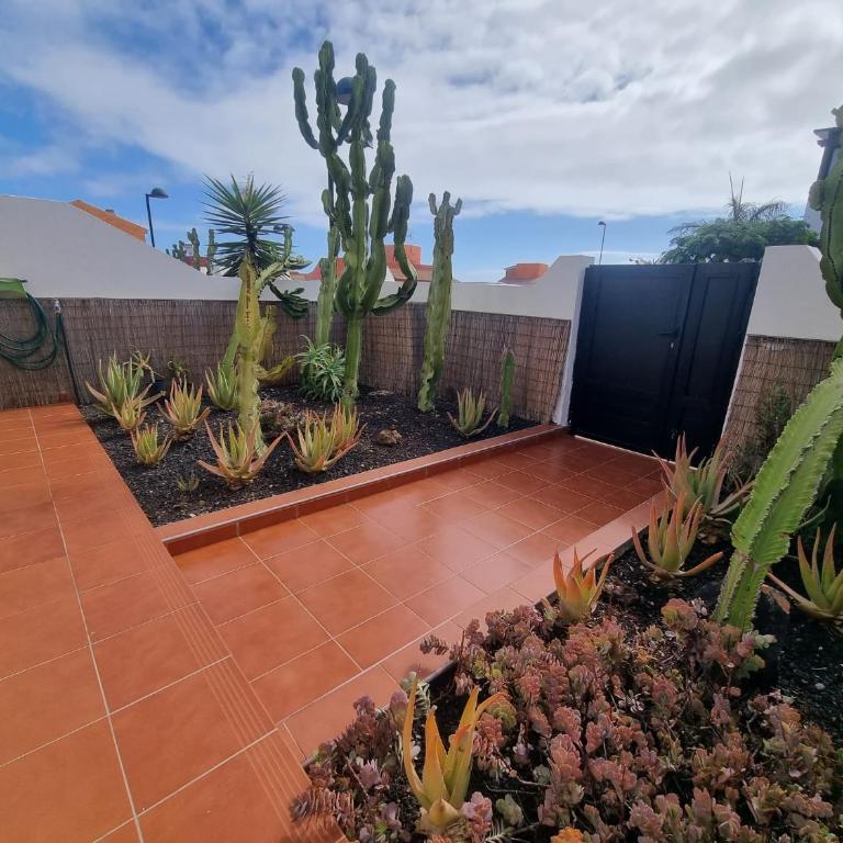 CASA RODO, ideal remote work, relaxing, pool and surfing - Haus mit 3 Schlafzimmern - 29