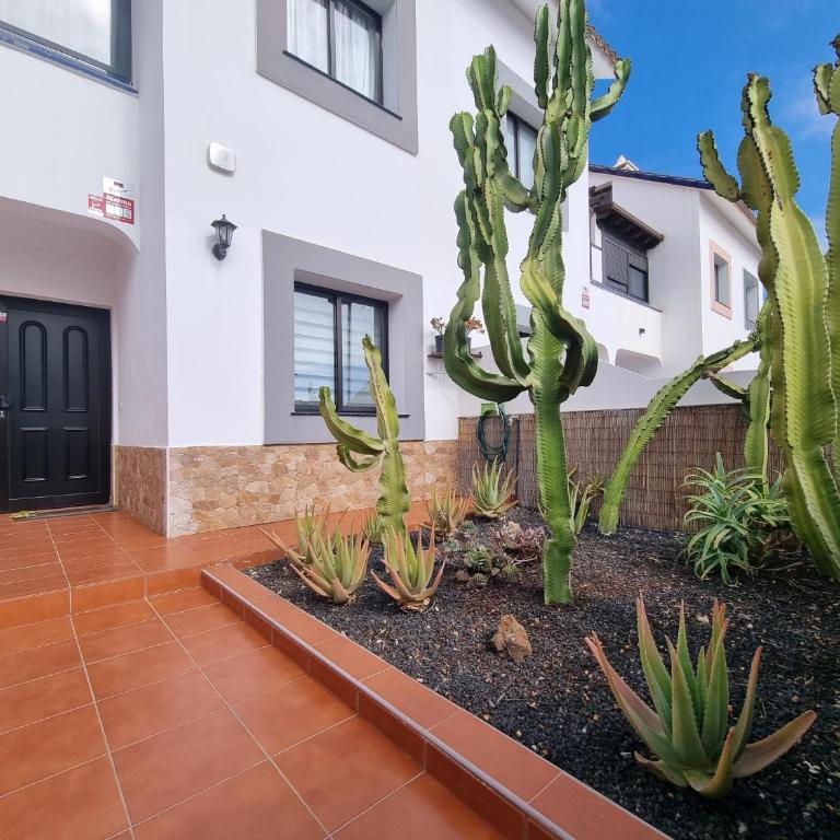 CASA RODO, ideal remote work, relaxing, pool and surfing - Haus mit 3 Schlafzimmern - 34