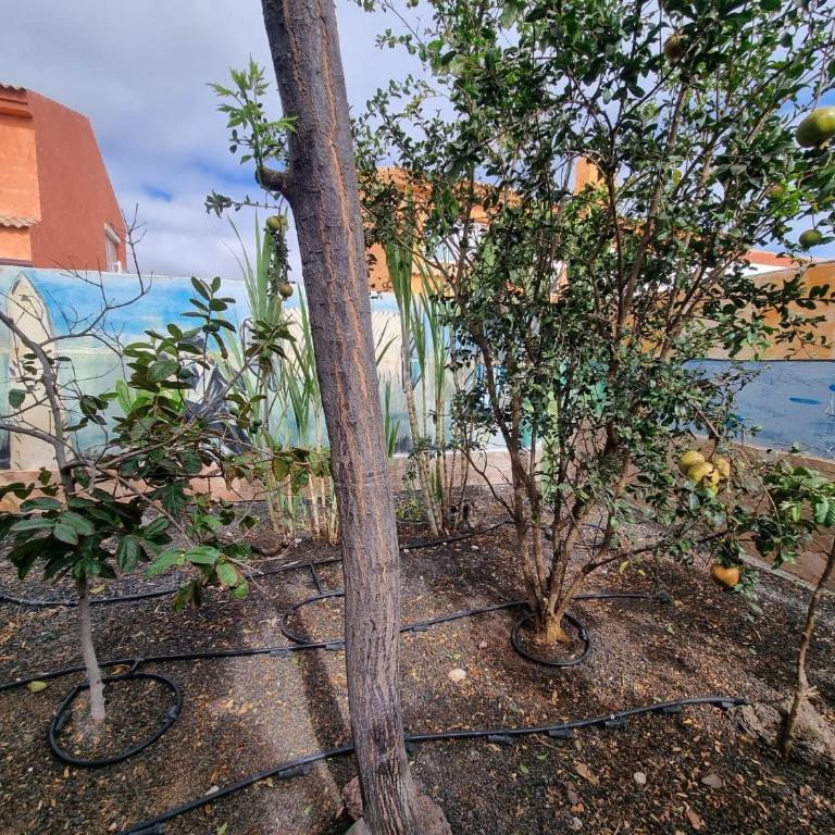 CASA RODO, ideal remote work, relaxing, pool and surfing - Haus mit 3 Schlafzimmern - 47