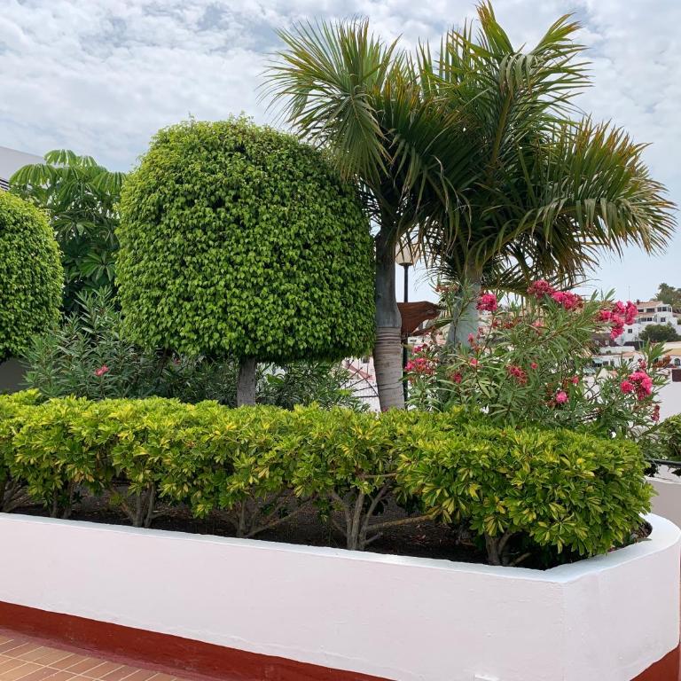 Ocean Breeze and Seaview Resort - Family Studio - 19