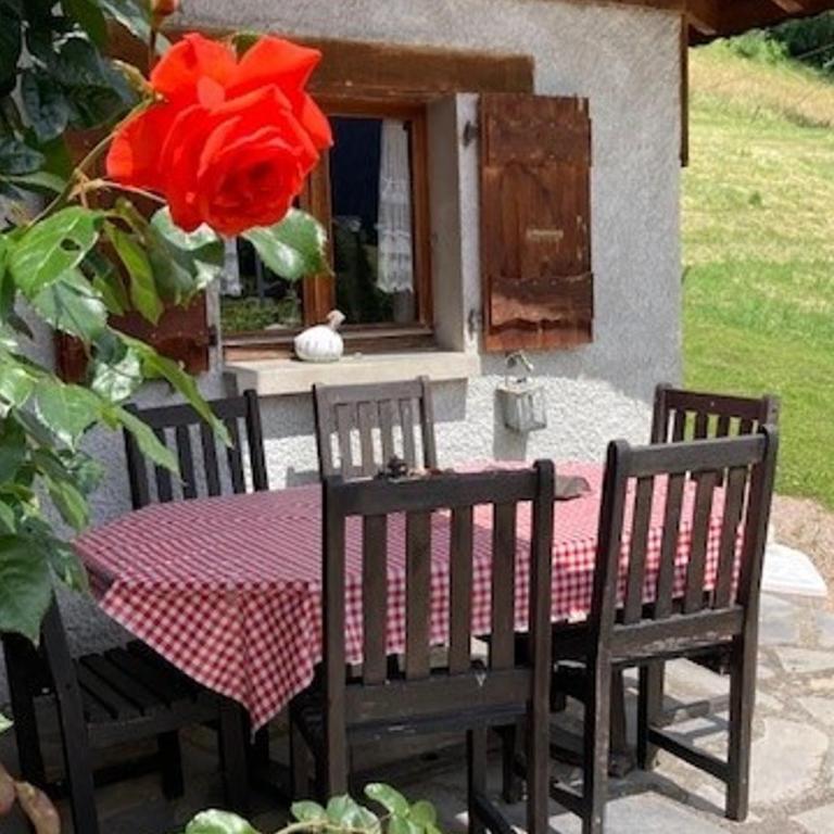 Chalet aux Gets avec Wi-Fi, cheminée, parking privatif, barbecue, proche pistes - FR-1-671-7 - Chalet - 16