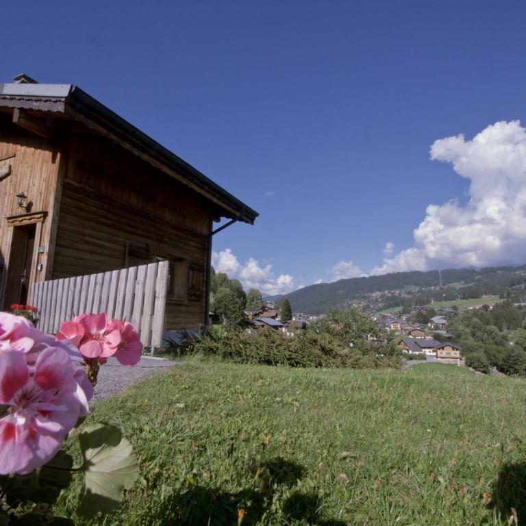Chalet confortable avec sauna, Wi-Fi et parking privé - FR-1-671-21 - Chalet - 27