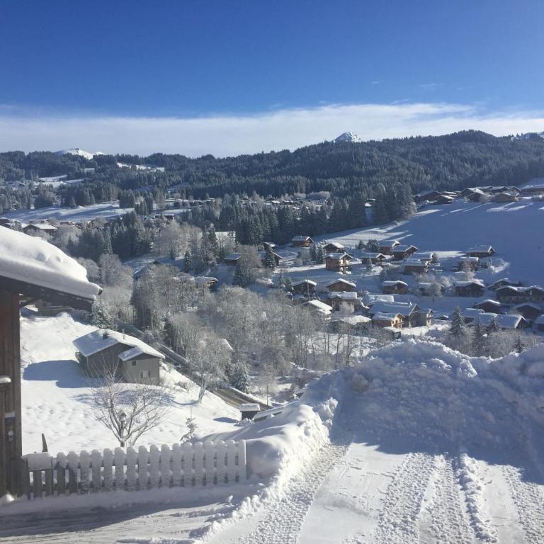 Chalet confortable avec sauna, Wi-Fi et parking privé - FR-1-671-21 - Chalet - 30