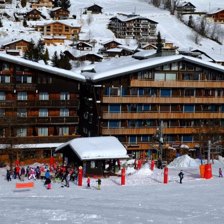 Studio cosy aux Gets, proche des pistes, balcon, Wi-Fi, garage sécurisé, accepte les animaux - FR-1-671-42 - Appartement - 10