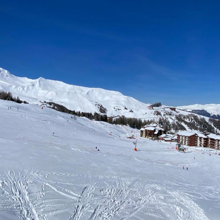 Beau duplex calme, animaux admis, au pied des pistes - FR-1-455-232 - Appartamento - 9