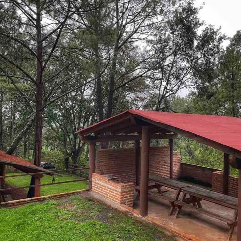 Cabaña en bosque de Mazamitla,Jalisco - Casa de 3 dormitorios - 29