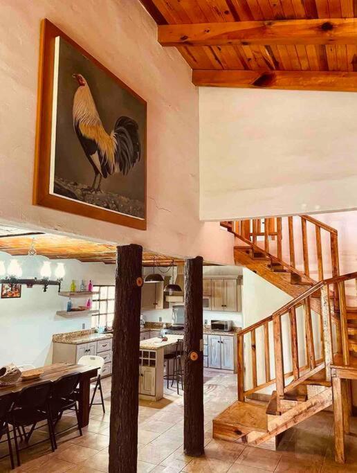 Cabaña en bosque de Mazamitla,Jalisco - Casa de 3 dormitorios - 22