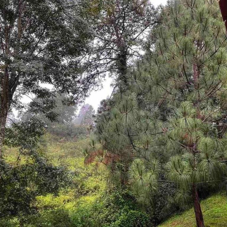 Cabaña en bosque de Mazamitla,Jalisco - Casa de 3 dormitorios - 32