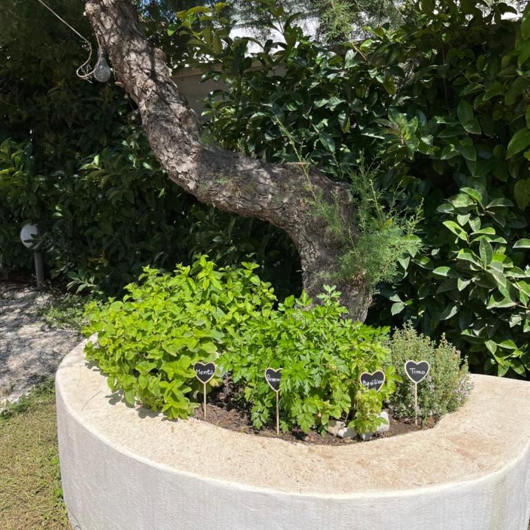 Dimora dell’Ozio in riva al mare - Three-Bedroom Villa - 11
