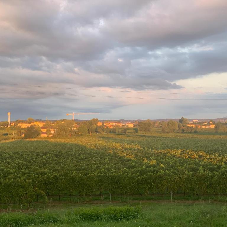 Villa Volponi - Appartamento con 2 Camere da Letto - 31