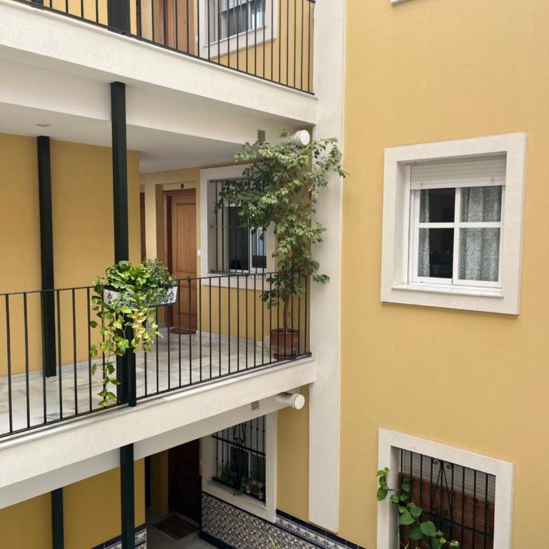 Apartamento Plata Real - Apartamento de 2 dormitorios - 16