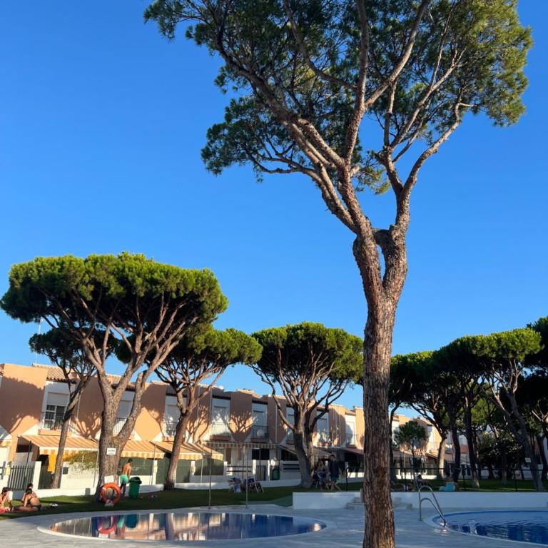 Apartamento de Reme Playa de la Barrosa - Apartamento de 2 dormitorios - 13