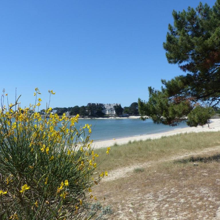 MARAIS - Maison Mitoyenne, Plage 350m - T546 - Maison de Ville 2 Chambres - 18