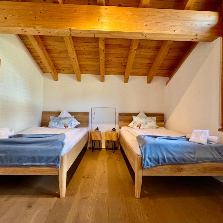 Silberhorn - Penthouse-Apartment - 31